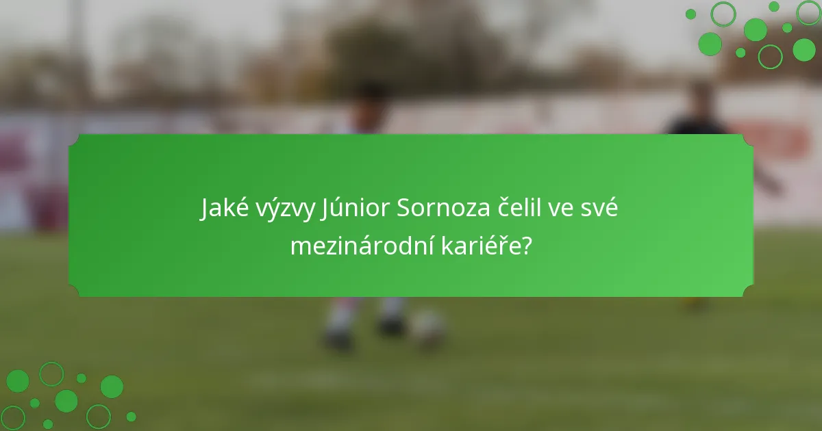Jaké výzvy Júnior Sornoza čelil ve své mezinárodní kariéře?