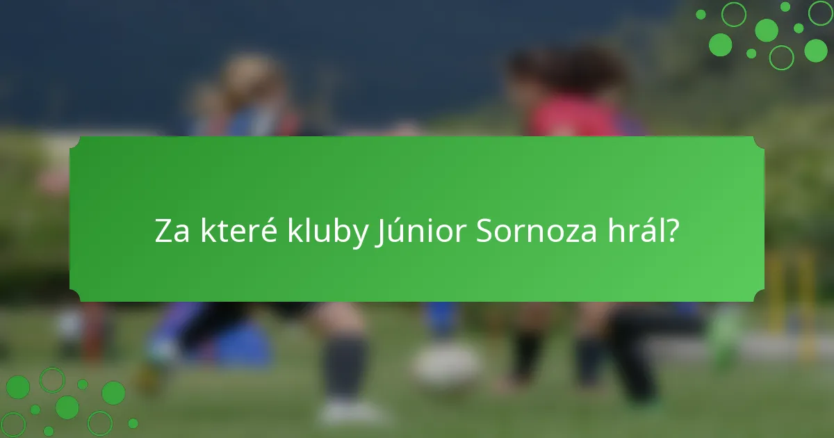 Za které kluby Júnior Sornoza hrál?